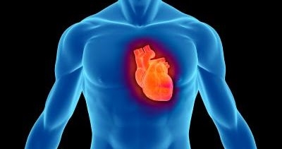 Ritmul cardiac în timpul sarcinii