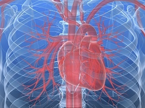 Preparaty do i po zawale mięśnia sercowego