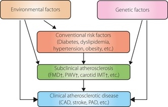 Koji su čimbenici rizika za razvoj ateroskleroze: metode prevencije bolesti