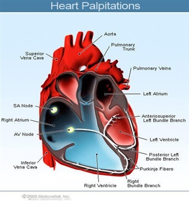 Debaran jantung dan sakit di jantung: punca dan rawatan