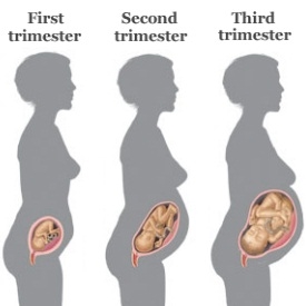 Тахикардия при бременни жени в различни периоди