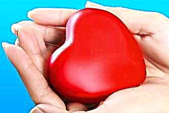 Vitamin untuk jantung dan pembuluh darah: yang akan menjadi pilihan terbaik