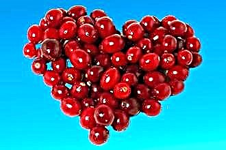 Bagaimana cranberry mempengaruhi tekanan darah