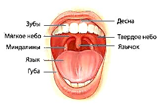 Nasofaryngeale tonsil