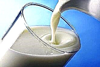 Milk for angina
