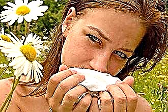 Gargling with chamomile for angina in adults