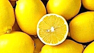 Pengobatan lemon untuk angina pada orang dewasa