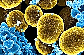 Staphylococcus aureus in de neus van een kind
