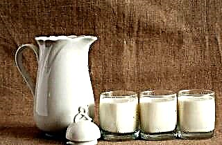 Mjölk och hosta: Läk dig själv