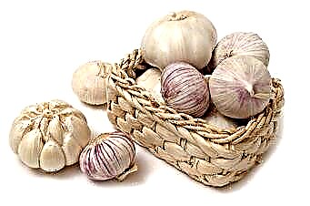 The benefits of garlic for a cold